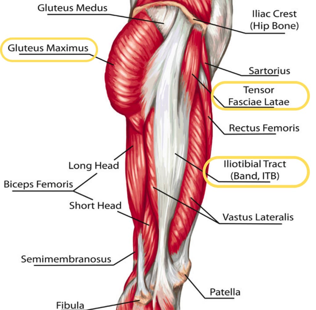 Iliotibial Band for low back relief from Linwood Chiropractor