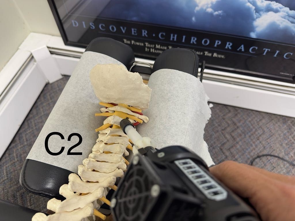 Linwood chiropractor shows where you adjust the C2 bone to relieve the nerves that travel through this area