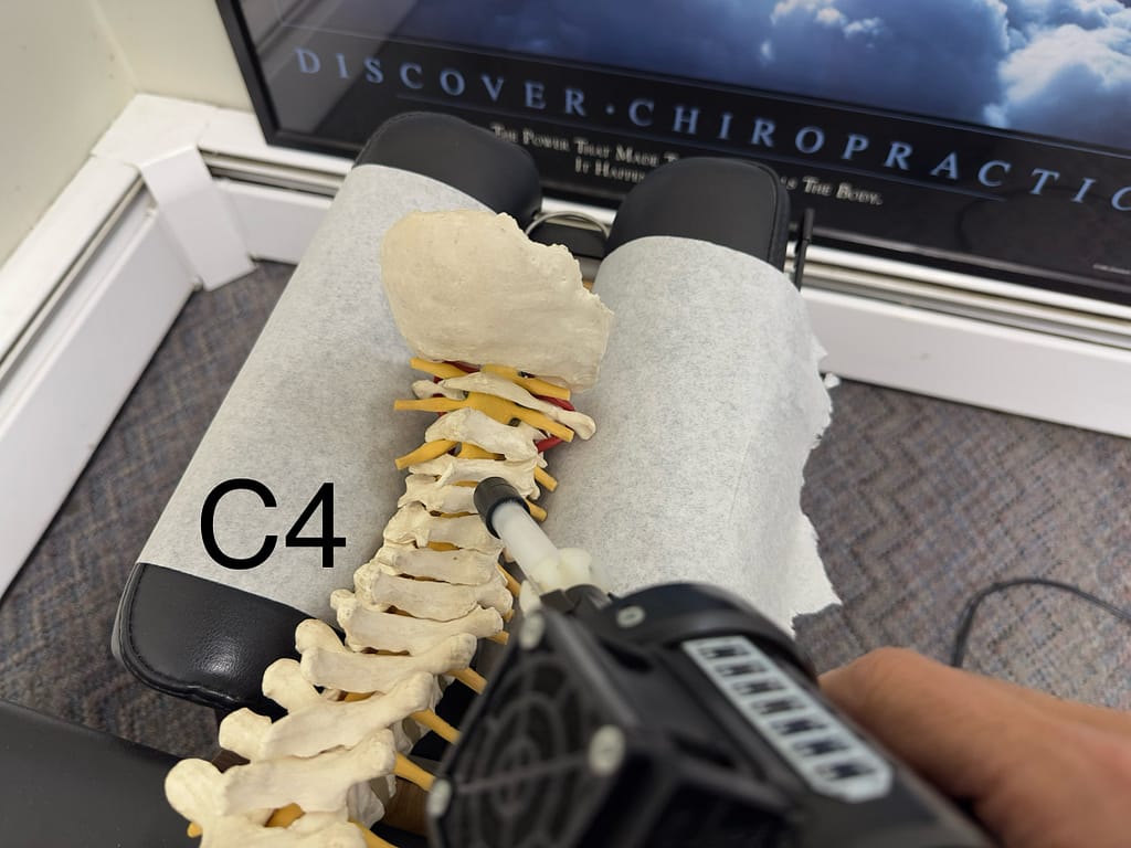 Linwood chiropractor shows where you adjust the C4 bone to relieve symptoms like hay fever, runny nose, hearing loss, adenoids and problems with nose, lips, mouth, and eustachian tubes.